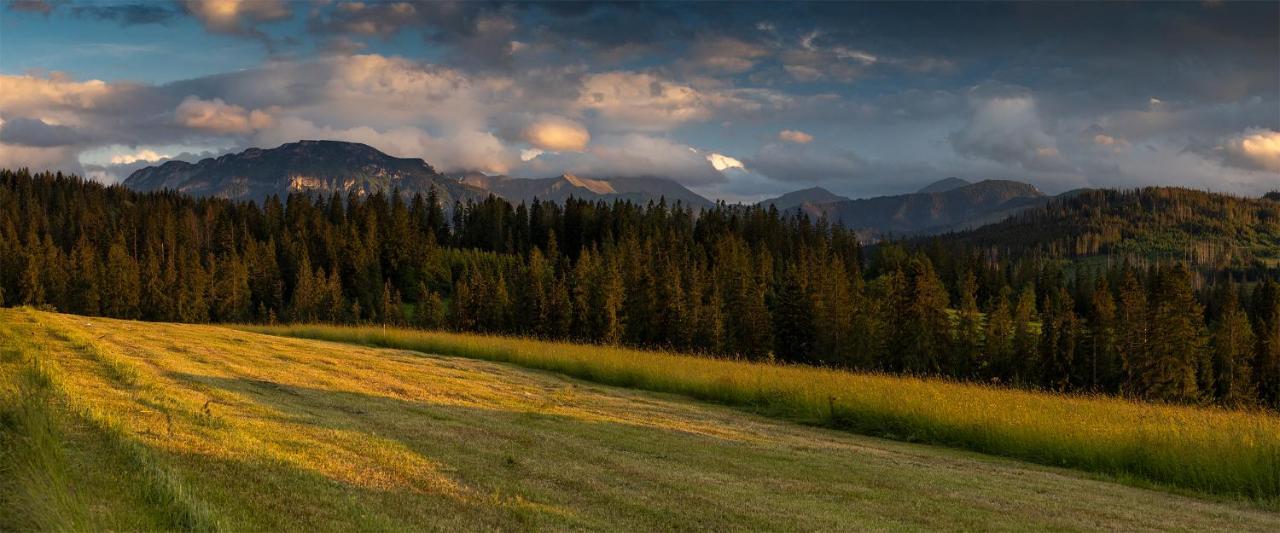 Witowianskie Domki Z Kominkiem, Jacuzzi I Sauna Dzianisz Экстерьер фото